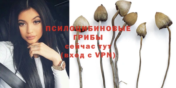 трава Гусев