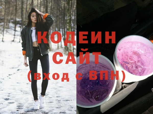 мяу мяу мука Гусь-Хрустальный