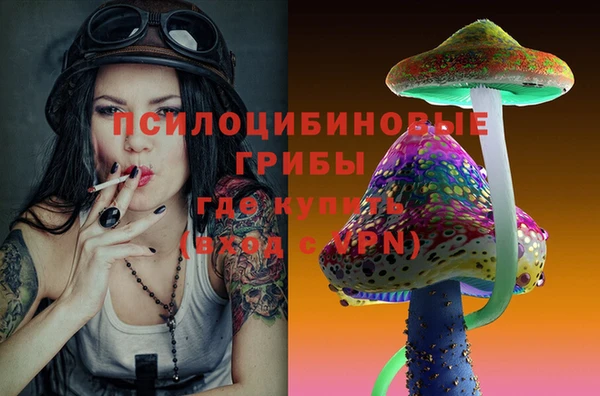 мяу мяу мука Гусь-Хрустальный