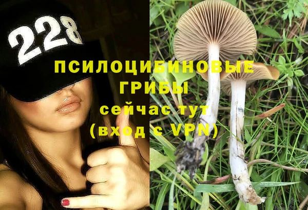 трава Гусев