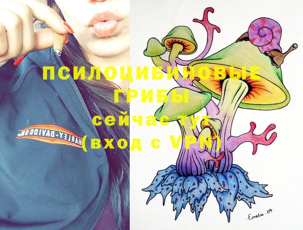 дурь Туринск