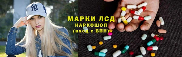 дурь Туринск