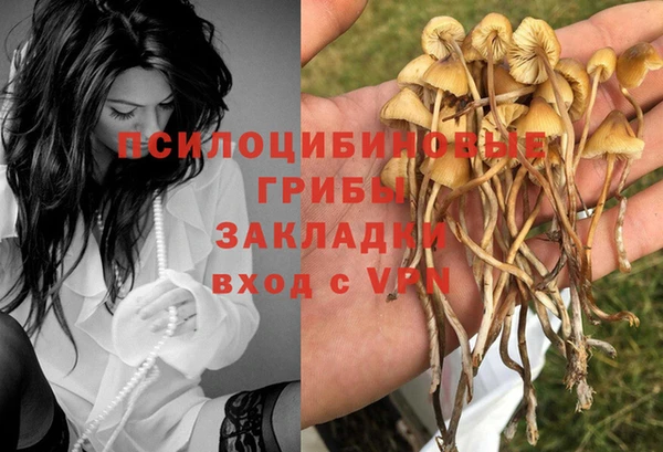 дурь Туринск