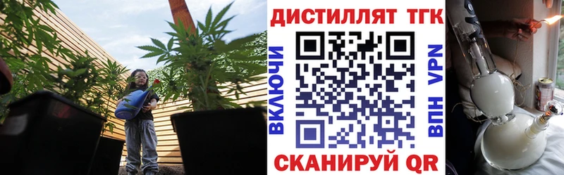 mega ссылка  Жердевка  ТГК вейп с тгк  купить закладку 