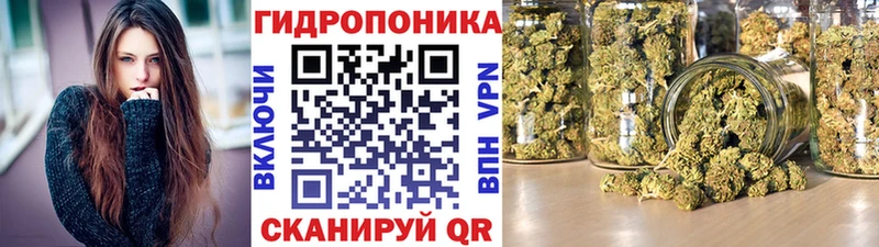 Бошки марихуана план  купить   Жердевка 